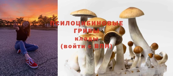 гашишное масло Дмитровск