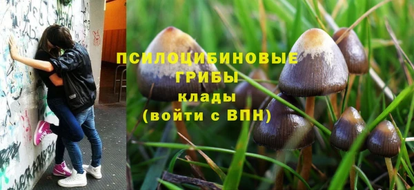 первитин Дмитров